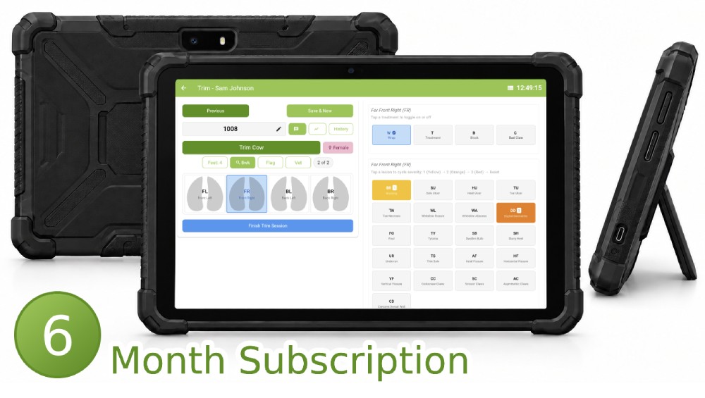 10" Android Tablet + 6 Month Subscription